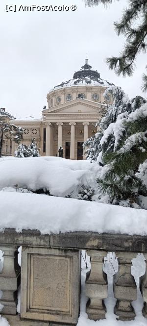 [P09] Ateneul Român. » foto by tata123 🔱
 - 
<span class="allrVoted glyphicon glyphicon-heart hidden" id="av1518490"></span>
<a class="m-l-10 hidden" id="sv1518490" onclick="voting_Foto_DelVot(,1518490,3511)" role="button">șterge vot <span class="glyphicon glyphicon-remove"></span></a>
<a id="v91518490" class=" c-red"  onclick="voting_Foto_SetVot(1518490)" role="button"><span class="glyphicon glyphicon-heart-empty"></span> <b>LIKE</b> = Votează poza</a> <img class="hidden"  id="f1518490W9" src="/imagini/loader.gif" border="0" /><span class="AjErrMes hidden" id="e1518490ErM"></span>