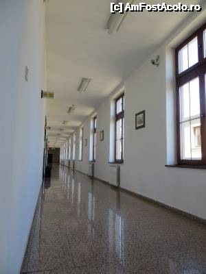 [P18] Pe culoarele ASE-ului.  » foto by tata123 🔱
 - 
<span class="allrVoted glyphicon glyphicon-heart hidden" id="av635802"></span>
<a class="m-l-10 hidden" id="sv635802" onclick="voting_Foto_DelVot(,635802,3511)" role="button">șterge vot <span class="glyphicon glyphicon-remove"></span></a>
<a id="v9635802" class=" c-red"  onclick="voting_Foto_SetVot(635802)" role="button"><span class="glyphicon glyphicon-heart-empty"></span> <b>LIKE</b> = Votează poza</a> <img class="hidden"  id="f635802W9" src="/imagini/loader.gif" border="0" /><span class="AjErrMes hidden" id="e635802ErM"></span>