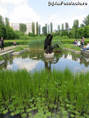 [P20] În Grădina Botanică.  » foto by tata123 🔱
 - 
<span class="allrVoted glyphicon glyphicon-heart hidden" id="av635813"></span>
<a class="m-l-10 hidden" id="sv635813" onclick="voting_Foto_DelVot(,635813,3511)" role="button">șterge vot <span class="glyphicon glyphicon-remove"></span></a>
<a id="v9635813" class=" c-red"  onclick="voting_Foto_SetVot(635813)" role="button"><span class="glyphicon glyphicon-heart-empty"></span> <b>LIKE</b> = Votează poza</a> <img class="hidden"  id="f635813W9" src="/imagini/loader.gif" border="0" /><span class="AjErrMes hidden" id="e635813ErM"></span>