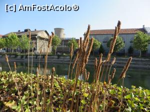 [P08] CET Grozăvești - pe malul drept.  » foto by tata123 🔱
 - 
<span class="allrVoted glyphicon glyphicon-heart hidden" id="av716172"></span>
<a class="m-l-10 hidden" id="sv716172" onclick="voting_Foto_DelVot(,716172,3511)" role="button">șterge vot <span class="glyphicon glyphicon-remove"></span></a>
<a id="v9716172" class=" c-red"  onclick="voting_Foto_SetVot(716172)" role="button"><span class="glyphicon glyphicon-heart-empty"></span> <b>LIKE</b> = Votează poza</a> <img class="hidden"  id="f716172W9" src="/imagini/loader.gif" border="0" /><span class="AjErrMes hidden" id="e716172ErM"></span>