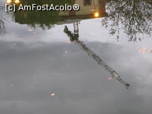 [P15] Macarale, macarale... se oglindesc în luciul apei dulci.  » foto by tata123 🔱
 - 
<span class="allrVoted glyphicon glyphicon-heart hidden" id="av716483"></span>
<a class="m-l-10 hidden" id="sv716483" onclick="voting_Foto_DelVot(,716483,3511)" role="button">șterge vot <span class="glyphicon glyphicon-remove"></span></a>
<a id="v9716483" class=" c-red"  onclick="voting_Foto_SetVot(716483)" role="button"><span class="glyphicon glyphicon-heart-empty"></span> <b>LIKE</b> = Votează poza</a> <img class="hidden"  id="f716483W9" src="/imagini/loader.gif" border="0" /><span class="AjErrMes hidden" id="e716483ErM"></span>