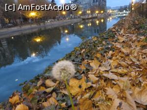 [P17] Peisaj de toamnă târzie pe malul Dâmboviței.  » foto by tata123 🔱
 - 
<span class="allrVoted glyphicon glyphicon-heart hidden" id="av716485"></span>
<a class="m-l-10 hidden" id="sv716485" onclick="voting_Foto_DelVot(,716485,3511)" role="button">șterge vot <span class="glyphicon glyphicon-remove"></span></a>
<a id="v9716485" class=" c-red"  onclick="voting_Foto_SetVot(716485)" role="button"><span class="glyphicon glyphicon-heart-empty"></span> <b>LIKE</b> = Votează poza</a> <img class="hidden"  id="f716485W9" src="/imagini/loader.gif" border="0" /><span class="AjErrMes hidden" id="e716485ErM"></span>