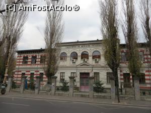 [P07] Facultatea de Medicină Veterinară din București.  » foto by tata123 🔱
 - 
<span class="allrVoted glyphicon glyphicon-heart hidden" id="av716475"></span>
<a class="m-l-10 hidden" id="sv716475" onclick="voting_Foto_DelVot(,716475,3511)" role="button">șterge vot <span class="glyphicon glyphicon-remove"></span></a>
<a id="v9716475" class=" c-red"  onclick="voting_Foto_SetVot(716475)" role="button"><span class="glyphicon glyphicon-heart-empty"></span> <b>LIKE</b> = Votează poza</a> <img class="hidden"  id="f716475W9" src="/imagini/loader.gif" border="0" /><span class="AjErrMes hidden" id="e716475ErM"></span>