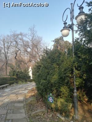 [P06] Spre bustul lui Eminescu din Parcul Cișmigiu.  » foto by tata123 🔱
 - 
<span class="allrVoted glyphicon glyphicon-heart hidden" id="av1140357"></span>
<a class="m-l-10 hidden" id="sv1140357" onclick="voting_Foto_DelVot(,1140357,3511)" role="button">șterge vot <span class="glyphicon glyphicon-remove"></span></a>
<a id="v91140357" class=" c-red"  onclick="voting_Foto_SetVot(1140357)" role="button"><span class="glyphicon glyphicon-heart-empty"></span> <b>LIKE</b> = Votează poza</a> <img class="hidden"  id="f1140357W9" src="/imagini/loader.gif" border="0" /><span class="AjErrMes hidden" id="e1140357ErM"></span>
