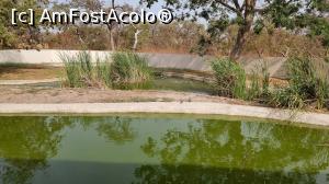 [P06] iazul de crocodili » foto by robert
 - 
<span class="allrVoted glyphicon glyphicon-heart hidden" id="av1284779"></span>
<a class="m-l-10 hidden" id="sv1284779" onclick="voting_Foto_DelVot(,1284779,3514)" role="button">șterge vot <span class="glyphicon glyphicon-remove"></span></a>
<a id="v91284779" class=" c-red"  onclick="voting_Foto_SetVot(1284779)" role="button"><span class="glyphicon glyphicon-heart-empty"></span> <b>LIKE</b> = Votează poza</a> <img class="hidden"  id="f1284779W9" src="/imagini/loader.gif" border="0" /><span class="AjErrMes hidden" id="e1284779ErM"></span>