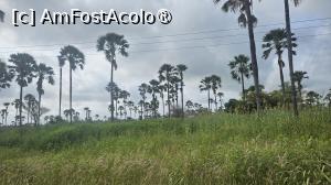 [P05] peisajul este deosebit » foto by robert
 - 
<span class="allrVoted glyphicon glyphicon-heart hidden" id="av1511272"></span>
<a class="m-l-10 hidden" id="sv1511272" onclick="voting_Foto_DelVot(,1511272,3514)" role="button">șterge vot <span class="glyphicon glyphicon-remove"></span></a>
<a id="v91511272" class=" c-red"  onclick="voting_Foto_SetVot(1511272)" role="button"><span class="glyphicon glyphicon-heart-empty"></span> <b>LIKE</b> = Votează poza</a> <img class="hidden"  id="f1511272W9" src="/imagini/loader.gif" border="0" /><span class="AjErrMes hidden" id="e1511272ErM"></span>