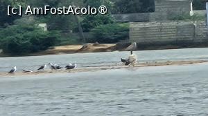 [P09] au urmat și alții » foto by robert
 - 
<span class="allrVoted glyphicon glyphicon-heart hidden" id="av1511276"></span>
<a class="m-l-10 hidden" id="sv1511276" onclick="voting_Foto_DelVot(,1511276,3514)" role="button">șterge vot <span class="glyphicon glyphicon-remove"></span></a>
<a id="v91511276" class=" c-red"  onclick="voting_Foto_SetVot(1511276)" role="button"><span class="glyphicon glyphicon-heart-empty"></span> <b>LIKE</b> = Votează poza</a> <img class="hidden"  id="f1511276W9" src="/imagini/loader.gif" border="0" /><span class="AjErrMes hidden" id="e1511276ErM"></span>