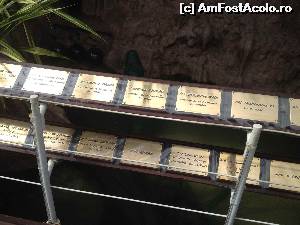 [P06] Parte din oaspetii de seama-cintareti, actori, oameni politici » foto by horachira
 - 
<span class="allrVoted glyphicon glyphicon-heart hidden" id="av616116"></span>
<a class="m-l-10 hidden" id="sv616116" onclick="voting_Foto_DelVot(,616116,3514)" role="button">șterge vot <span class="glyphicon glyphicon-remove"></span></a>
<a id="v9616116" class=" c-red"  onclick="voting_Foto_SetVot(616116)" role="button"><span class="glyphicon glyphicon-heart-empty"></span> <b>LIKE</b> = Votează poza</a> <img class="hidden"  id="f616116W9" src="/imagini/loader.gif" border="0" /><span class="AjErrMes hidden" id="e616116ErM"></span>