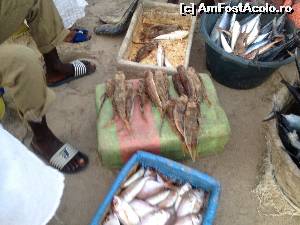 [P09] La piata de peste-daca ai curajul il alegi, ti-l curata si prajeste pe loc muuult mai ieftin -eu am avut » foto by horachira
 - 
<span class="allrVoted glyphicon glyphicon-heart hidden" id="av616122"></span>
<a class="m-l-10 hidden" id="sv616122" onclick="voting_Foto_DelVot(,616122,3514)" role="button">șterge vot <span class="glyphicon glyphicon-remove"></span></a>
<a id="v9616122" class=" c-red"  onclick="voting_Foto_SetVot(616122)" role="button"><span class="glyphicon glyphicon-heart-empty"></span> <b>LIKE</b> = Votează poza</a> <img class="hidden"  id="f616122W9" src="/imagini/loader.gif" border="0" /><span class="AjErrMes hidden" id="e616122ErM"></span>