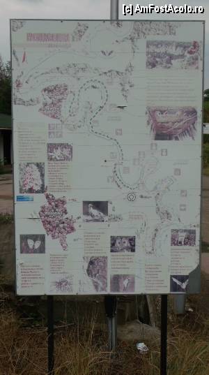 [P44] Parcul Naţional Natural Rusenski Lom - hartă a 'ecopotecii Bojeniya' dintre Bojicen şi Ivanovo, pe malul râului.  » foto by Dragoș_MD
 - 
<span class="allrVoted glyphicon glyphicon-heart hidden" id="av351513"></span>
<a class="m-l-10 hidden" id="sv351513" onclick="voting_Foto_DelVot(,351513,3525)" role="button">șterge vot <span class="glyphicon glyphicon-remove"></span></a>
<a id="v9351513" class=" c-red"  onclick="voting_Foto_SetVot(351513)" role="button"><span class="glyphicon glyphicon-heart-empty"></span> <b>LIKE</b> = Votează poza</a> <img class="hidden"  id="f351513W9" src="/imagini/loader.gif" border="0" /><span class="AjErrMes hidden" id="e351513ErM"></span>