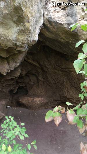 [P61] Parcul natural naţional Rusenski Lom - mică peşteră lângă mânăstirea Sfânta Născătoare de Dumnezeu, Ivanovo » foto by Dragoș_MD
 - 
<span class="allrVoted glyphicon glyphicon-heart hidden" id="av351533"></span>
<a class="m-l-10 hidden" id="sv351533" onclick="voting_Foto_DelVot(,351533,3525)" role="button">șterge vot <span class="glyphicon glyphicon-remove"></span></a>
<a id="v9351533" class=" c-red"  onclick="voting_Foto_SetVot(351533)" role="button"><span class="glyphicon glyphicon-heart-empty"></span> <b>LIKE</b> = Votează poza</a> <img class="hidden"  id="f351533W9" src="/imagini/loader.gif" border="0" /><span class="AjErrMes hidden" id="e351533ErM"></span>