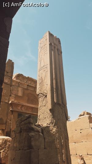 [P23] Templul Karnak - ruine ale vechilor construcții » foto by k-lator
 - 
<span class="allrVoted glyphicon glyphicon-heart hidden" id="av1226900"></span>
<a class="m-l-10 hidden" id="sv1226900" onclick="voting_Foto_DelVot(,1226900,3529)" role="button">șterge vot <span class="glyphicon glyphicon-remove"></span></a>
<a id="v91226900" class=" c-red"  onclick="voting_Foto_SetVot(1226900)" role="button"><span class="glyphicon glyphicon-heart-empty"></span> <b>LIKE</b> = Votează poza</a> <img class="hidden"  id="f1226900W9" src="/imagini/loader.gif" border="0" /><span class="AjErrMes hidden" id="e1226900ErM"></span>