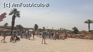 [P25] Templul Karnak - în apropierea Lacului Sacru » foto by k-lator
 - 
<span class="allrVoted glyphicon glyphicon-heart hidden" id="av1226902"></span>
<a class="m-l-10 hidden" id="sv1226902" onclick="voting_Foto_DelVot(,1226902,3529)" role="button">șterge vot <span class="glyphicon glyphicon-remove"></span></a>
<a id="v91226902" class=" c-red"  onclick="voting_Foto_SetVot(1226902)" role="button"><span class="glyphicon glyphicon-heart-empty"></span> <b>LIKE</b> = Votează poza</a> <img class="hidden"  id="f1226902W9" src="/imagini/loader.gif" border="0" /><span class="AjErrMes hidden" id="e1226902ErM"></span>