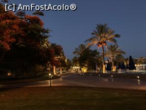 [P18] Desert Rose » foto by Carmen47
 - 
<span class="allrVoted glyphicon glyphicon-heart hidden" id="av1301325"></span>
<a class="m-l-10 hidden" id="sv1301325" onclick="voting_Foto_DelVot(,1301325,3529)" role="button">șterge vot <span class="glyphicon glyphicon-remove"></span></a>
<a id="v91301325" class=" c-red"  onclick="voting_Foto_SetVot(1301325)" role="button"><span class="glyphicon glyphicon-heart-empty"></span> <b>LIKE</b> = Votează poza</a> <img class="hidden"  id="f1301325W9" src="/imagini/loader.gif" border="0" /><span class="AjErrMes hidden" id="e1301325ErM"></span>