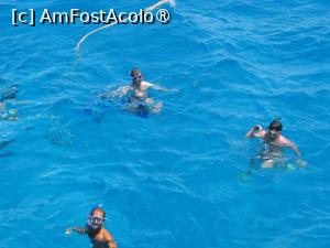 [P18] Oprire la peștișori în Marea Roșie » foto by vlado2
 - 
<span class="allrVoted glyphicon glyphicon-heart hidden" id="av1523259"></span>
<a class="m-l-10 hidden" id="sv1523259" onclick="voting_Foto_DelVot(,1523259,3529)" role="button">șterge vot <span class="glyphicon glyphicon-remove"></span></a>
<a id="v91523259" class=" c-red"  onclick="voting_Foto_SetVot(1523259)" role="button"><span class="glyphicon glyphicon-heart-empty"></span> <b>LIKE</b> = Votează poza</a> <img class="hidden"  id="f1523259W9" src="/imagini/loader.gif" border="0" /><span class="AjErrMes hidden" id="e1523259ErM"></span>