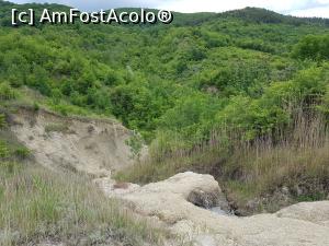 [P17] În această zonă am găsit alte câteva conuri vulcanice. » foto by Floryn81
 - 
<span class="allrVoted glyphicon glyphicon-heart hidden" id="av1172182"></span>
<a class="m-l-10 hidden" id="sv1172182" onclick="voting_Foto_DelVot(,1172182,3566)" role="button">șterge vot <span class="glyphicon glyphicon-remove"></span></a>
<a id="v91172182" class=" c-red"  onclick="voting_Foto_SetVot(1172182)" role="button"><span class="glyphicon glyphicon-heart-empty"></span> <b>LIKE</b> = Votează poza</a> <img class="hidden"  id="f1172182W9" src="/imagini/loader.gif" border="0" /><span class="AjErrMes hidden" id="e1172182ErM"></span>