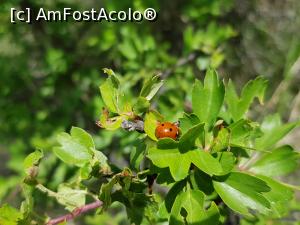 [P19] În vizită la Pâclele de la Beciu. » foto by Floryn81
 - 
<span class="allrVoted glyphicon glyphicon-heart hidden" id="av1172184"></span>
<a class="m-l-10 hidden" id="sv1172184" onclick="voting_Foto_DelVot(,1172184,3566)" role="button">șterge vot <span class="glyphicon glyphicon-remove"></span></a>
<a id="v91172184" class=" c-red"  onclick="voting_Foto_SetVot(1172184)" role="button"><span class="glyphicon glyphicon-heart-empty"></span> <b>LIKE</b> = Votează poza</a> <img class="hidden"  id="f1172184W9" src="/imagini/loader.gif" border="0" /><span class="AjErrMes hidden" id="e1172184ErM"></span>