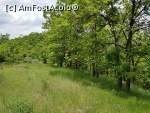 [P22] O altă pauză; de aici am cules căpșuni. » foto by Floryn81
 - 
<span class="allrVoted glyphicon glyphicon-heart hidden" id="av1172187"></span>
<a class="m-l-10 hidden" id="sv1172187" onclick="voting_Foto_DelVot(,1172187,3566)" role="button">șterge vot <span class="glyphicon glyphicon-remove"></span></a>
<a id="v91172187" class=" c-red"  onclick="voting_Foto_SetVot(1172187)" role="button"><span class="glyphicon glyphicon-heart-empty"></span> <b>LIKE</b> = Votează poza</a> <img class="hidden"  id="f1172187W9" src="/imagini/loader.gif" border="0" /><span class="AjErrMes hidden" id="e1172187ErM"></span>