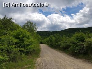 [P06] Pe drumul de țară spre Pâclele de la Beciu. » foto by Floryn81
 - 
<span class="allrVoted glyphicon glyphicon-heart hidden" id="av1172171"></span>
<a class="m-l-10 hidden" id="sv1172171" onclick="voting_Foto_DelVot(,1172171,3566)" role="button">șterge vot <span class="glyphicon glyphicon-remove"></span></a>
<a id="v91172171" class=" c-red"  onclick="voting_Foto_SetVot(1172171)" role="button"><span class="glyphicon glyphicon-heart-empty"></span> <b>LIKE</b> = Votează poza</a> <img class="hidden"  id="f1172171W9" src="/imagini/loader.gif" border="0" /><span class="AjErrMes hidden" id="e1172171ErM"></span>
