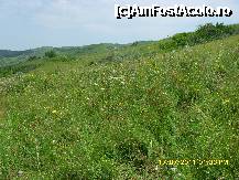 [P20] poieni cu flori pe langa care am urcat noi spre Vulcanii Noroiosi » foto by adryana
 - 
<span class="allrVoted glyphicon glyphicon-heart hidden" id="av235913"></span>
<a class="m-l-10 hidden" id="sv235913" onclick="voting_Foto_DelVot(,235913,3566)" role="button">șterge vot <span class="glyphicon glyphicon-remove"></span></a>
<a id="v9235913" class=" c-red"  onclick="voting_Foto_SetVot(235913)" role="button"><span class="glyphicon glyphicon-heart-empty"></span> <b>LIKE</b> = Votează poza</a> <img class="hidden"  id="f235913W9" src="/imagini/loader.gif" border="0" /><span class="AjErrMes hidden" id="e235913ErM"></span>