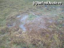 [P18] Un alt vulcan noroios invadat de vegetatia din jur » foto by dorgo
 - 
<span class="allrVoted glyphicon glyphicon-heart hidden" id="av164425"></span>
<a class="m-l-10 hidden" id="sv164425" onclick="voting_Foto_DelVot(,164425,3566)" role="button">șterge vot <span class="glyphicon glyphicon-remove"></span></a>
<a id="v9164425" class=" c-red"  onclick="voting_Foto_SetVot(164425)" role="button"><span class="glyphicon glyphicon-heart-empty"></span> <b>LIKE</b> = Votează poza</a> <img class="hidden"  id="f164425W9" src="/imagini/loader.gif" border="0" /><span class="AjErrMes hidden" id="e164425ErM"></span>
