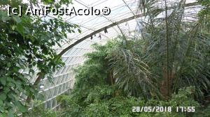 [P35] Grădina Zoo de la Schonbrunn » foto by ungureanica
 - 
<span class="allrVoted glyphicon glyphicon-heart hidden" id="av977836"></span>
<a class="m-l-10 hidden" id="sv977836" onclick="voting_Foto_DelVot(,977836,3569)" role="button">șterge vot <span class="glyphicon glyphicon-remove"></span></a>
<a id="v9977836" class=" c-red"  onclick="voting_Foto_SetVot(977836)" role="button"><span class="glyphicon glyphicon-heart-empty"></span> <b>LIKE</b> = Votează poza</a> <img class="hidden"  id="f977836W9" src="/imagini/loader.gif" border="0" /><span class="AjErrMes hidden" id="e977836ErM"></span>