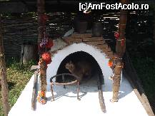 [P28] ...si pisica care se juca cu motocei la gura sobei... » foto by trandafir 1970*
 - 
<span class="allrVoted glyphicon glyphicon-heart hidden" id="av32071"></span>
<a class="m-l-10 hidden" id="sv32071" onclick="voting_Foto_DelVot(,32071,3571)" role="button">șterge vot <span class="glyphicon glyphicon-remove"></span></a>
<a id="v932071" class=" c-red"  onclick="voting_Foto_SetVot(32071)" role="button"><span class="glyphicon glyphicon-heart-empty"></span> <b>LIKE</b> = Votează poza</a> <img class="hidden"  id="f32071W9" src="/imagini/loader.gif" border="0" /><span class="AjErrMes hidden" id="e32071ErM"></span>