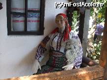 [P31]  -- <small>// FĂRĂ DESCRIERE</small> » foto by trandafir 1970*
 - 
<span class="allrVoted glyphicon glyphicon-heart hidden" id="av32074"></span>
<a class="m-l-10 hidden" id="sv32074" onclick="voting_Foto_DelVot(,32074,3571)" role="button">șterge vot <span class="glyphicon glyphicon-remove"></span></a>
<a id="v932074" class=" c-red"  onclick="voting_Foto_SetVot(32074)" role="button"><span class="glyphicon glyphicon-heart-empty"></span> <b>LIKE</b> = Votează poza</a> <img class="hidden"  id="f32074W9" src="/imagini/loader.gif" border="0" /><span class="AjErrMes hidden" id="e32074ErM"></span>