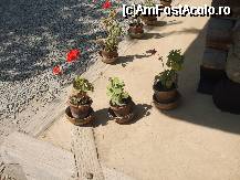 [P04] Pe aici nu se calca(exista un avertisment),tocmai pentru a se pastra autenticitatea locuintei... » foto by trandafir 1970*
 - 
<span class="allrVoted glyphicon glyphicon-heart hidden" id="av32025"></span>
<a class="m-l-10 hidden" id="sv32025" onclick="voting_Foto_DelVot(,32025,3571)" role="button">șterge vot <span class="glyphicon glyphicon-remove"></span></a>
<a id="v932025" class=" c-red"  onclick="voting_Foto_SetVot(32025)" role="button"><span class="glyphicon glyphicon-heart-empty"></span> <b>LIKE</b> = Votează poza</a> <img class="hidden"  id="f32025W9" src="/imagini/loader.gif" border="0" /><span class="AjErrMes hidden" id="e32025ErM"></span>