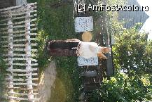 [P08] Acelasi personaj . » foto by cronung
 - 
<span class="allrVoted glyphicon glyphicon-heart hidden" id="av22029"></span>
<a class="m-l-10 hidden" id="sv22029" onclick="voting_Foto_DelVot(,22029,3571)" role="button">șterge vot <span class="glyphicon glyphicon-remove"></span></a>
<a id="v922029" class=" c-red"  onclick="voting_Foto_SetVot(22029)" role="button"><span class="glyphicon glyphicon-heart-empty"></span> <b>LIKE</b> = Votează poza</a> <img class="hidden"  id="f22029W9" src="/imagini/loader.gif" border="0" /><span class="AjErrMes hidden" id="e22029ErM"></span>