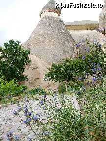 [P13] Merita sa va indepartati de Goreme spre Zelve Valley, Pasabaglari » foto by @nca*
 - 
<span class="allrVoted glyphicon glyphicon-heart hidden" id="av96945"></span>
<a class="m-l-10 hidden" id="sv96945" onclick="voting_Foto_DelVot(,96945,3573)" role="button">șterge vot <span class="glyphicon glyphicon-remove"></span></a>
<a id="v996945" class=" c-red"  onclick="voting_Foto_SetVot(96945)" role="button"><span class="glyphicon glyphicon-heart-empty"></span> <b>LIKE</b> = Votează poza</a> <img class="hidden"  id="f96945W9" src="/imagini/loader.gif" border="0" /><span class="AjErrMes hidden" id="e96945ErM"></span>