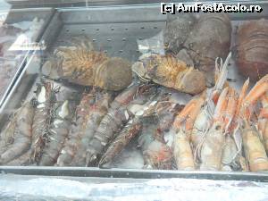[P52] Fructe și gândcai de mare :)  » foto by Dabator
 - 
<span class="allrVoted glyphicon glyphicon-heart hidden" id="av541642"></span>
<a class="m-l-10 hidden" id="sv541642" onclick="voting_Foto_DelVot(,541642,3576)" role="button">șterge vot <span class="glyphicon glyphicon-remove"></span></a>
<a id="v9541642" class=" c-red"  onclick="voting_Foto_SetVot(541642)" role="button"><span class="glyphicon glyphicon-heart-empty"></span> <b>LIKE</b> = Votează poza</a> <img class="hidden"  id="f541642W9" src="/imagini/loader.gif" border="0" /><span class="AjErrMes hidden" id="e541642ErM"></span>