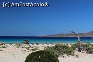 [P27] cam asa se vede paradisul din drumul de la parcare » foto by elee
 - 
<span class="allrVoted glyphicon glyphicon-heart hidden" id="av873318"></span>
<a class="m-l-10 hidden" id="sv873318" onclick="voting_Foto_DelVot(,873318,3576)" role="button">șterge vot <span class="glyphicon glyphicon-remove"></span></a>
<a id="v9873318" class=" c-red"  onclick="voting_Foto_SetVot(873318)" role="button"><span class="glyphicon glyphicon-heart-empty"></span> <b>LIKE</b> = Votează poza</a> <img class="hidden"  id="f873318W9" src="/imagini/loader.gif" border="0" /><span class="AjErrMes hidden" id="e873318ErM"></span>