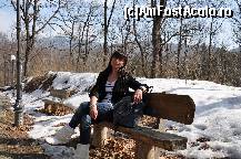 [P65]  -- <small>// FĂRĂ DESCRIERE</small> » foto by doricuta
 - 
<span class="allrVoted glyphicon glyphicon-heart hidden" id="av389194"></span>
<a class="m-l-10 hidden" id="sv389194" onclick="voting_Foto_DelVot(,389194,3588)" role="button">șterge vot <span class="glyphicon glyphicon-remove"></span></a>
<a id="v9389194" class=" c-red"  onclick="voting_Foto_SetVot(389194)" role="button"><span class="glyphicon glyphicon-heart-empty"></span> <b>LIKE</b> = Votează poza</a> <img class="hidden"  id="f389194W9" src="/imagini/loader.gif" border="0" /><span class="AjErrMes hidden" id="e389194ErM"></span>