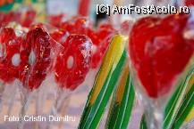 [P20] Festivalul Tuicii la Valenii de Munte » foto by cristinadumitru*
 - 
<span class="allrVoted glyphicon glyphicon-heart hidden" id="av22513"></span>
<a class="m-l-10 hidden" id="sv22513" onclick="voting_Foto_DelVot(,22513,3607)" role="button">șterge vot <span class="glyphicon glyphicon-remove"></span></a>
<a id="v922513" class=" c-red"  onclick="voting_Foto_SetVot(22513)" role="button"><span class="glyphicon glyphicon-heart-empty"></span> <b>LIKE</b> = Votează poza</a> <img class="hidden"  id="f22513W9" src="/imagini/loader.gif" border="0" /><span class="AjErrMes hidden" id="e22513ErM"></span>