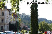 [P22]  -- <small>// FĂRĂ DESCRIERE</small> » foto by maryka
 - 
<span class="allrVoted glyphicon glyphicon-heart hidden" id="av303648"></span>
<a class="m-l-10 hidden" id="sv303648" onclick="voting_Foto_DelVot(,303648,3615)" role="button">șterge vot <span class="glyphicon glyphicon-remove"></span></a>
<a id="v9303648" class=" c-red"  onclick="voting_Foto_SetVot(303648)" role="button"><span class="glyphicon glyphicon-heart-empty"></span> <b>LIKE</b> = Votează poza</a> <img class="hidden"  id="f303648W9" src="/imagini/loader.gif" border="0" /><span class="AjErrMes hidden" id="e303648ErM"></span>