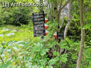 [P15] Indicatoare de trasee » foto by Marius 72
 - 
<span class="allrVoted glyphicon glyphicon-heart hidden" id="av1241858"></span>
<a class="m-l-10 hidden" id="sv1241858" onclick="voting_Foto_DelVot(,1241858,3617)" role="button">șterge vot <span class="glyphicon glyphicon-remove"></span></a>
<a id="v91241858" class=" c-red"  onclick="voting_Foto_SetVot(1241858)" role="button"><span class="glyphicon glyphicon-heart-empty"></span> <b>LIKE</b> = Votează poza</a> <img class="hidden"  id="f1241858W9" src="/imagini/loader.gif" border="0" /><span class="AjErrMes hidden" id="e1241858ErM"></span>