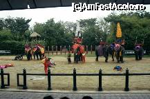 [P16] Elephant show la Samphran Park » foto by badge®
 - 
<span class="allrVoted glyphicon glyphicon-heart hidden" id="av171216"></span>
<a class="m-l-10 hidden" id="sv171216" onclick="voting_Foto_DelVot(,171216,3625)" role="button">șterge vot <span class="glyphicon glyphicon-remove"></span></a>
<a id="v9171216" class=" c-red"  onclick="voting_Foto_SetVot(171216)" role="button"><span class="glyphicon glyphicon-heart-empty"></span> <b>LIKE</b> = Votează poza</a> <img class="hidden"  id="f171216W9" src="/imagini/loader.gif" border="0" /><span class="AjErrMes hidden" id="e171216ErM"></span>