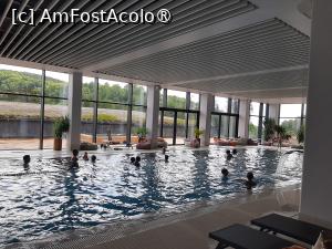 [P51] Piscina din zona kids friendly » foto by roxxie
 - 
<span class="allrVoted glyphicon glyphicon-heart hidden" id="av1531865"></span>
<a class="m-l-10 hidden" id="sv1531865" onclick="voting_Foto_DelVot(,1531865,3635)" role="button">șterge vot <span class="glyphicon glyphicon-remove"></span></a>
<a id="v91531865" class=" c-red"  onclick="voting_Foto_SetVot(1531865)" role="button"><span class="glyphicon glyphicon-heart-empty"></span> <b>LIKE</b> = Votează poza</a> <img class="hidden"  id="f1531865W9" src="/imagini/loader.gif" border="0" /><span class="AjErrMes hidden" id="e1531865ErM"></span>