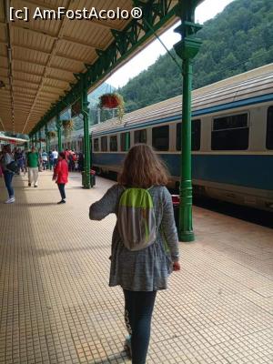 [P01] Sosire in Sinaia » foto by AncaGO
 - 
<span class="allrVoted glyphicon glyphicon-heart hidden" id="av1005563"></span>
<a class="m-l-10 hidden" id="sv1005563" onclick="voting_Foto_DelVot(,1005563,3677)" role="button">șterge vot <span class="glyphicon glyphicon-remove"></span></a>
<a id="v91005563" class=" c-red"  onclick="voting_Foto_SetVot(1005563)" role="button"><span class="glyphicon glyphicon-heart-empty"></span> <b>LIKE</b> = Votează poza</a> <img class="hidden"  id="f1005563W9" src="/imagini/loader.gif" border="0" /><span class="AjErrMes hidden" id="e1005563ErM"></span>