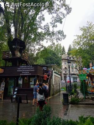 [P05] Tiroliana din Parcul Ghica » foto by AncaGO
 - 
<span class="allrVoted glyphicon glyphicon-heart hidden" id="av1005567"></span>
<a class="m-l-10 hidden" id="sv1005567" onclick="voting_Foto_DelVot(,1005567,3677)" role="button">șterge vot <span class="glyphicon glyphicon-remove"></span></a>
<a id="v91005567" class=" c-red"  onclick="voting_Foto_SetVot(1005567)" role="button"><span class="glyphicon glyphicon-heart-empty"></span> <b>LIKE</b> = Votează poza</a> <img class="hidden"  id="f1005567W9" src="/imagini/loader.gif" border="0" /><span class="AjErrMes hidden" id="e1005567ErM"></span>