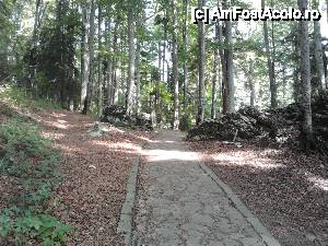 [P02] Spre Stana Regala » foto by Bogdan888
 - 
<span class="allrVoted glyphicon glyphicon-heart hidden" id="av456252"></span>
<a class="m-l-10 hidden" id="sv456252" onclick="voting_Foto_DelVot(,456252,3677)" role="button">șterge vot <span class="glyphicon glyphicon-remove"></span></a>
<a id="v9456252" class=" c-red"  onclick="voting_Foto_SetVot(456252)" role="button"><span class="glyphicon glyphicon-heart-empty"></span> <b>LIKE</b> = Votează poza</a> <img class="hidden"  id="f456252W9" src="/imagini/loader.gif" border="0" /><span class="AjErrMes hidden" id="e456252ErM"></span>