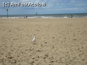 [P01] Plaja de la Scheveningen, cea mai populară stațiune olandeză la Marea Nordului.  » foto by mireille
 - 
<span class="allrVoted glyphicon glyphicon-heart hidden" id="av991150"></span>
<a class="m-l-10 hidden" id="sv991150" onclick="voting_Foto_DelVot(,991150,3707)" role="button">șterge vot <span class="glyphicon glyphicon-remove"></span></a>
<a id="v9991150" class=" c-red"  onclick="voting_Foto_SetVot(991150)" role="button"><span class="glyphicon glyphicon-heart-empty"></span> <b>LIKE</b> = Votează poza</a> <img class="hidden"  id="f991150W9" src="/imagini/loader.gif" border="0" /><span class="AjErrMes hidden" id="e991150ErM"></span>