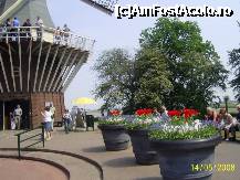 [P13] Olanda - Parcul Keukenhof » foto by popescu.borsa*
 - 
<span class="allrVoted glyphicon glyphicon-heart hidden" id="av191132"></span>
<a class="m-l-10 hidden" id="sv191132" onclick="voting_Foto_DelVot(,191132,3710)" role="button">șterge vot <span class="glyphicon glyphicon-remove"></span></a>
<a id="v9191132" class=" c-red"  onclick="voting_Foto_SetVot(191132)" role="button"><span class="glyphicon glyphicon-heart-empty"></span> <b>LIKE</b> = Votează poza</a> <img class="hidden"  id="f191132W9" src="/imagini/loader.gif" border="0" /><span class="AjErrMes hidden" id="e191132ErM"></span>