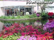 [P07] Olanda - Parcul Keukenhof » foto by popescu.borsa*
 - 
<span class="allrVoted glyphicon glyphicon-heart hidden" id="av191126"></span>
<a class="m-l-10 hidden" id="sv191126" onclick="voting_Foto_DelVot(,191126,3710)" role="button">șterge vot <span class="glyphicon glyphicon-remove"></span></a>
<a id="v9191126" class=" c-red"  onclick="voting_Foto_SetVot(191126)" role="button"><span class="glyphicon glyphicon-heart-empty"></span> <b>LIKE</b> = Votează poza</a> <img class="hidden"  id="f191126W9" src="/imagini/loader.gif" border="0" /><span class="AjErrMes hidden" id="e191126ErM"></span>