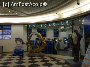 [P02] Zona de acces în Tropicarium Budapesta.  » foto by tata123 🔱
 - 
<span class="allrVoted glyphicon glyphicon-heart hidden" id="av1015323"></span>
<a class="m-l-10 hidden" id="sv1015323" onclick="voting_Foto_DelVot(,1015323,3743)" role="button">șterge vot <span class="glyphicon glyphicon-remove"></span></a>
<a id="v91015323" class=" c-red"  onclick="voting_Foto_SetVot(1015323)" role="button"><span class="glyphicon glyphicon-heart-empty"></span> <b>LIKE</b> = Votează poza</a> <img class="hidden"  id="f1015323W9" src="/imagini/loader.gif" border="0" /><span class="AjErrMes hidden" id="e1015323ErM"></span>