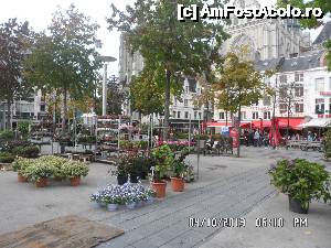 [P26] in Piateta manusii (nu stiu daca am amintit de ea), pentru bucuria ochiului, flori de toamna » foto by amero
 - 
<span class="allrVoted glyphicon glyphicon-heart hidden" id="av501072"></span>
<a class="m-l-10 hidden" id="sv501072" onclick="voting_Foto_DelVot(,501072,3747)" role="button">șterge vot <span class="glyphicon glyphicon-remove"></span></a>
<a id="v9501072" class=" c-red"  onclick="voting_Foto_SetVot(501072)" role="button"><span class="glyphicon glyphicon-heart-empty"></span> <b>LIKE</b> = Votează poza</a> <img class="hidden"  id="f501072W9" src="/imagini/loader.gif" border="0" /><span class="AjErrMes hidden" id="e501072ErM"></span>