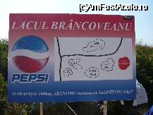 [P13] Lacul Brancoveanu » foto by Nicu
 - 
<span class="allrVoted glyphicon glyphicon-heart hidden" id="av58883"></span>
<a class="m-l-10 hidden" id="sv58883" onclick="voting_Foto_DelVot(,58883,3791)" role="button">șterge vot <span class="glyphicon glyphicon-remove"></span></a>
<a id="v958883" class=" c-red"  onclick="voting_Foto_SetVot(58883)" role="button"><span class="glyphicon glyphicon-heart-empty"></span> <b>LIKE</b> = Votează poza</a> <img class="hidden"  id="f58883W9" src="/imagini/loader.gif" border="0" /><span class="AjErrMes hidden" id="e58883ErM"></span>