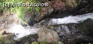 [P20] Cascada de pe pârâul Babeș. » foto by Aurici
 - 
<span class="allrVoted glyphicon glyphicon-heart hidden" id="av1174453"></span>
<a class="m-l-10 hidden" id="sv1174453" onclick="voting_Foto_DelVot(,1174453,3798)" role="button">șterge vot <span class="glyphicon glyphicon-remove"></span></a>
<a id="v91174453" class=" c-red"  onclick="voting_Foto_SetVot(1174453)" role="button"><span class="glyphicon glyphicon-heart-empty"></span> <b>LIKE</b> = Votează poza</a> <img class="hidden"  id="f1174453W9" src="/imagini/loader.gif" border="0" /><span class="AjErrMes hidden" id="e1174453ErM"></span>