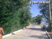 [P22] Faleză » foto by Aeerdna*
 - 
<span class="allrVoted glyphicon glyphicon-heart hidden" id="av264075"></span>
<a class="m-l-10 hidden" id="sv264075" onclick="voting_Foto_DelVot(,264075,3806)" role="button">șterge vot <span class="glyphicon glyphicon-remove"></span></a>
<a id="v9264075" class=" c-red"  onclick="voting_Foto_SetVot(264075)" role="button"><span class="glyphicon glyphicon-heart-empty"></span> <b>LIKE</b> = Votează poza</a> <img class="hidden"  id="f264075W9" src="/imagini/loader.gif" border="0" /><span class="AjErrMes hidden" id="e264075ErM"></span>